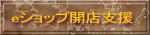 eショップ開店支援(Eストアー販売パートナー)