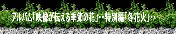Welcome to www.cgbsgroup.com