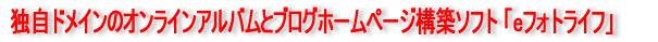 �Ǝ��h���C���̃I�����C���A���o���ƃu���O�z�[���y�[�W�\�z�\�t�g�ue�t�H�g���C�t�v 